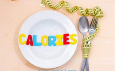 WHY COUNTING CALORIES IS NOT A ZERO SUM GAME